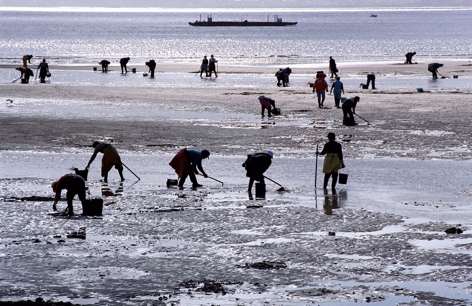 Origen e historia de las mariscadoras: guardianas del marisco en Galicia