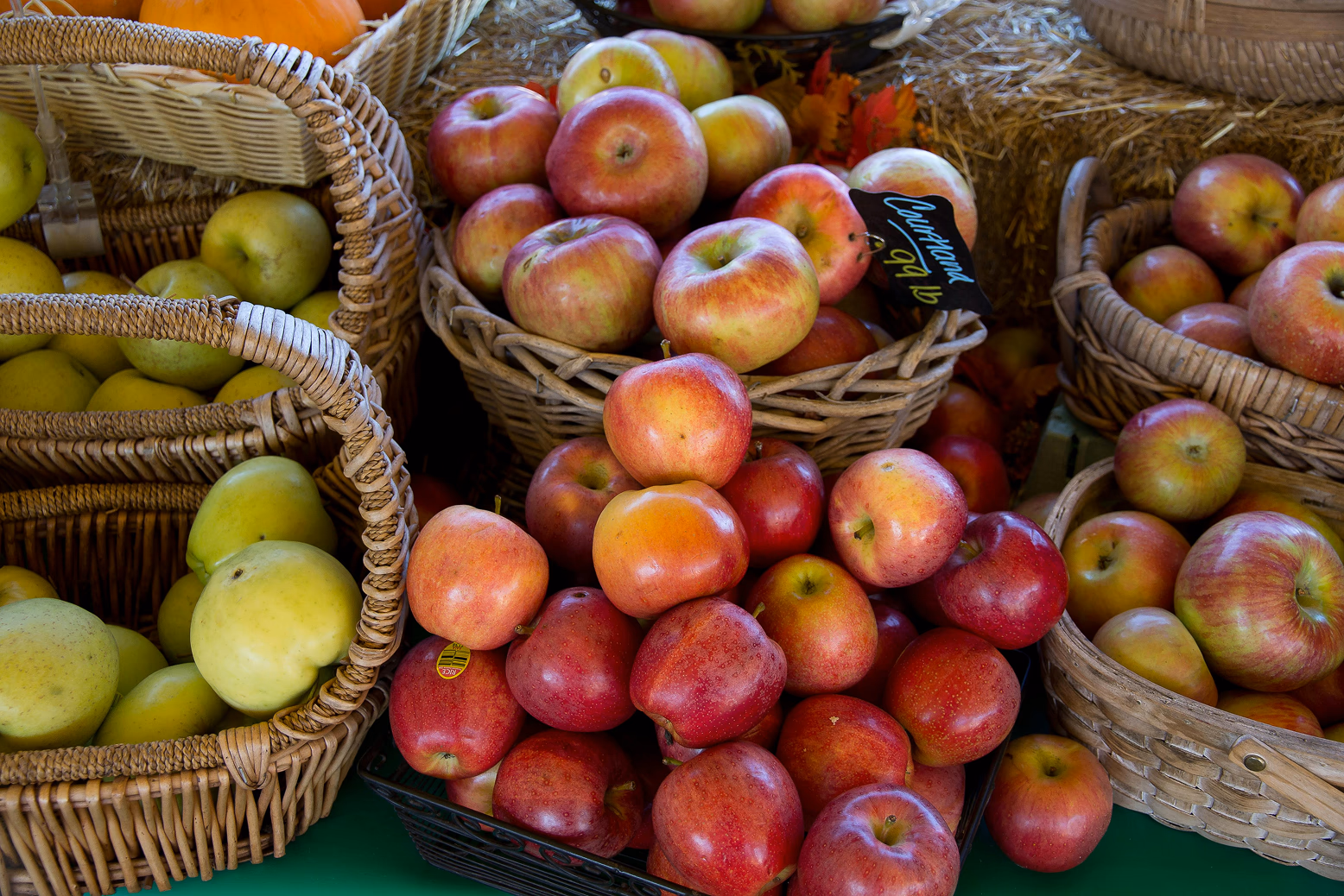 Variedades autóctonas de manzana en Galicia: un tesoro agrícola