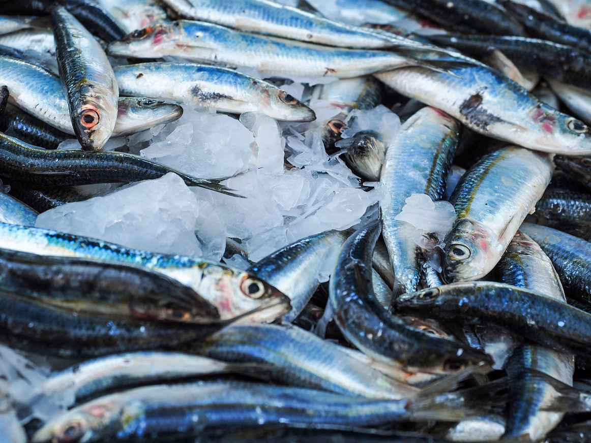 Villas marineras de Galicia: dónde comer mejor pescado y marisco fresco