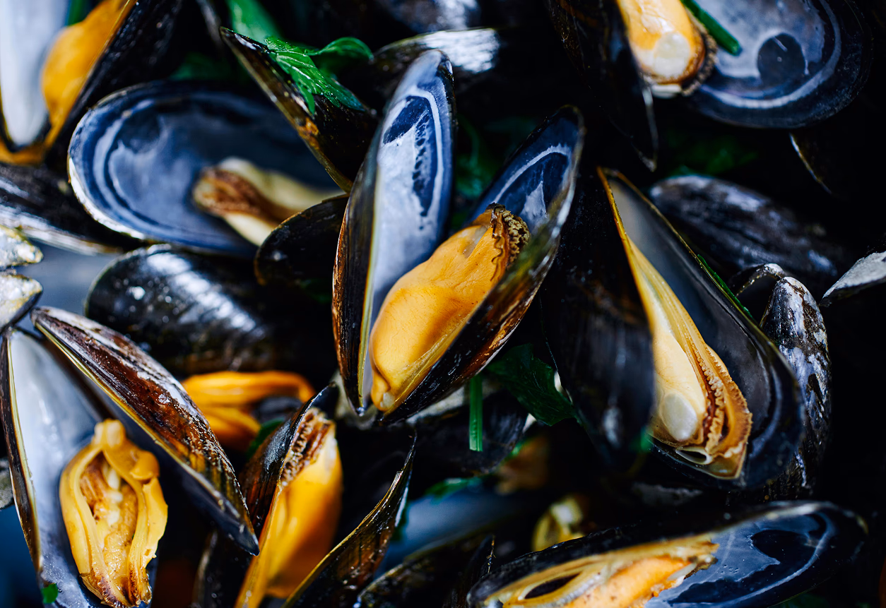 Mejillones al vapor