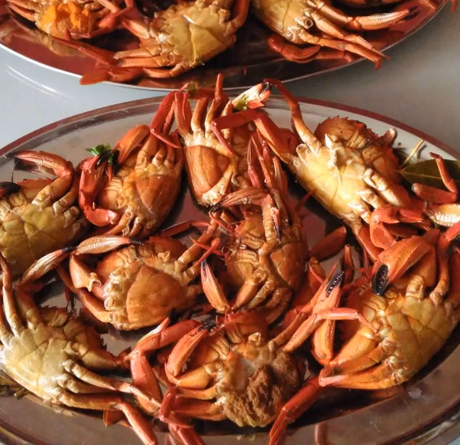 Nécoras gallegas cocidas