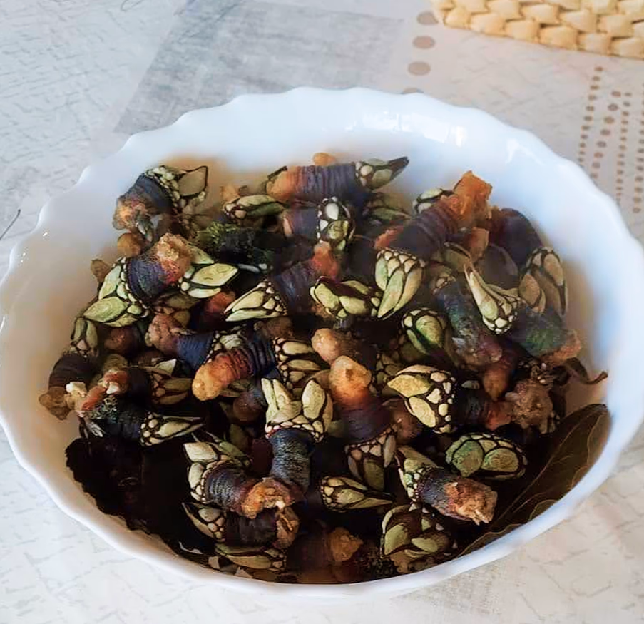 Percebes gallegos
