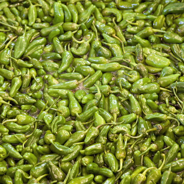 Pimientos de Padrón
